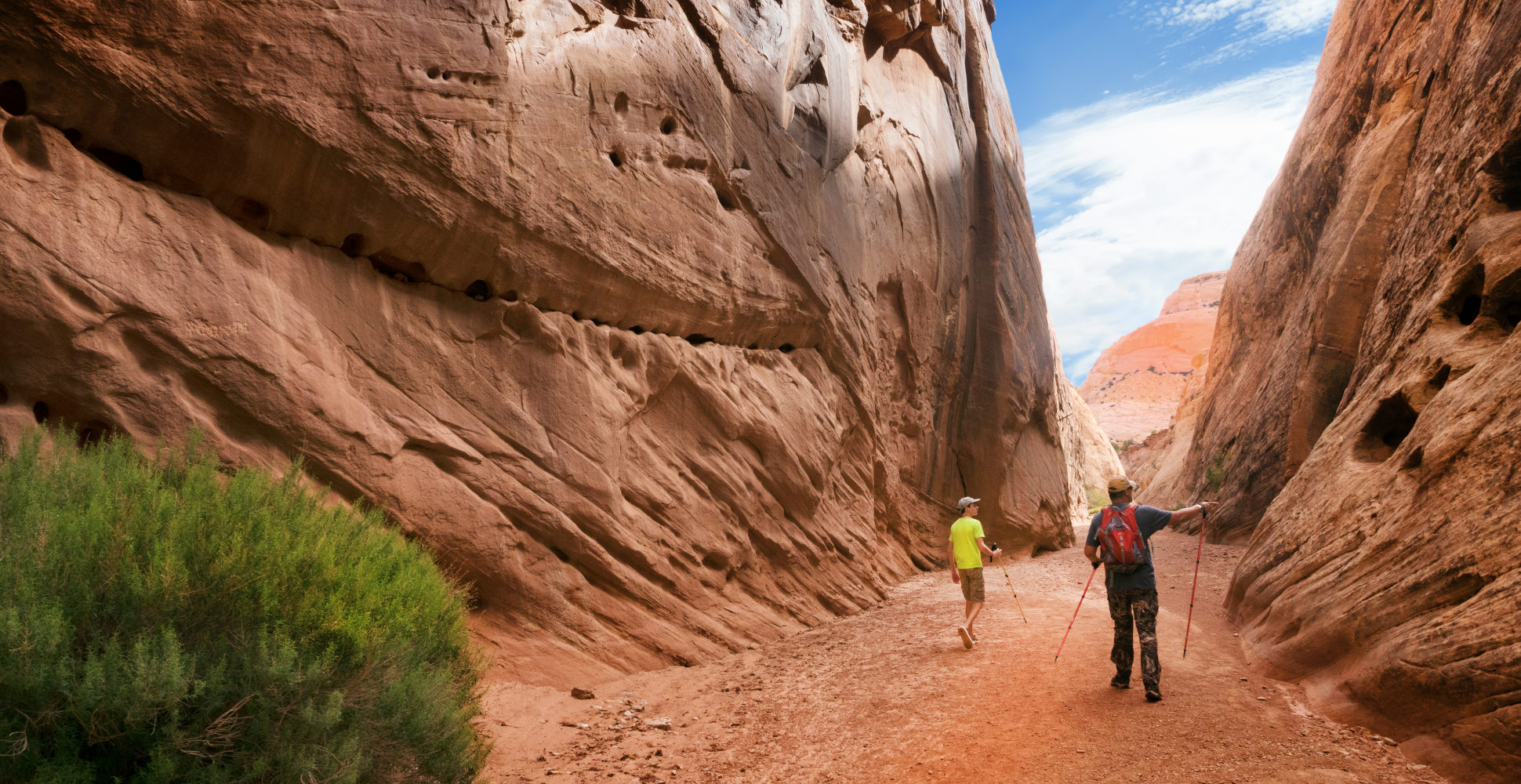 Capitol Reef National Park