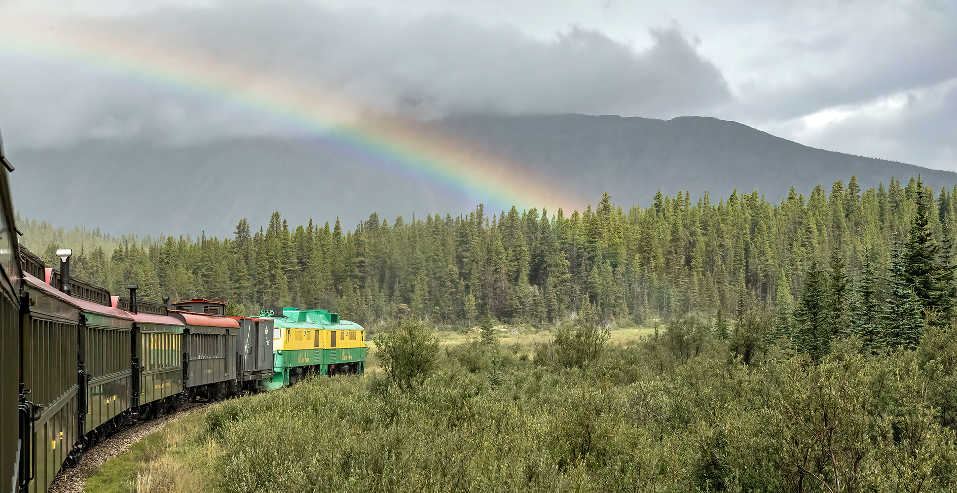 A train moves through the Alaskan wilderness