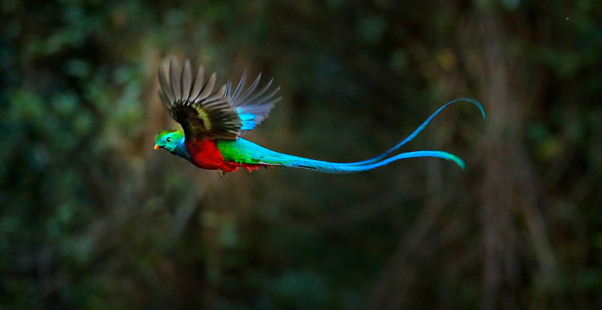 Costa-Rica-Region-Web-2_0000_shutterstock_1275330181