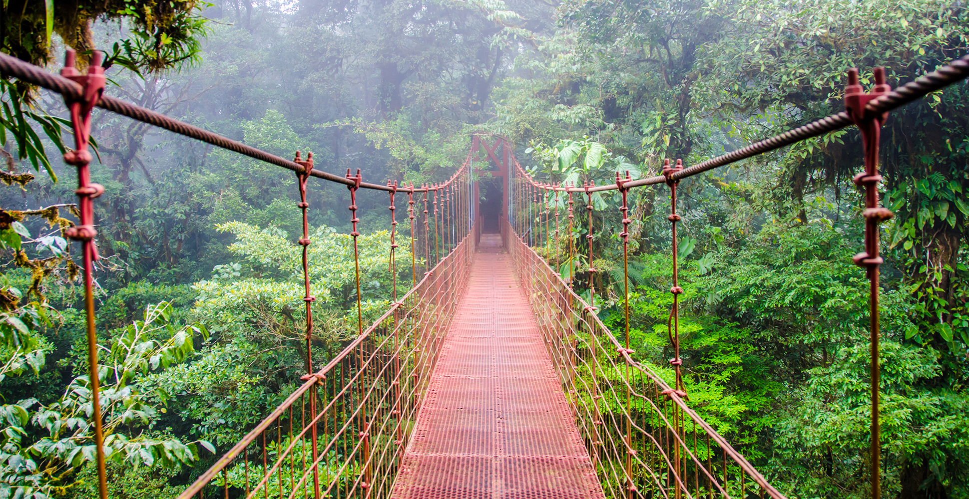 Costa-Rica-Region-Web_0005_monteverdeBridge_shutterstock_257399221